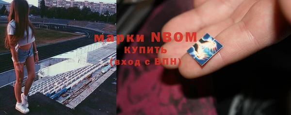 прущие грибы Абаза