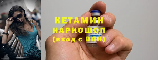прущие грибы Абаза