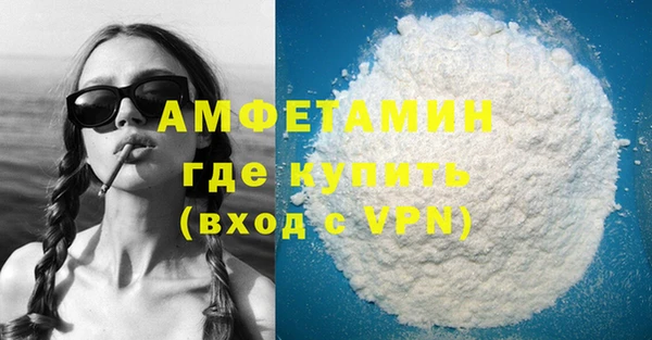 прущие грибы Абаза