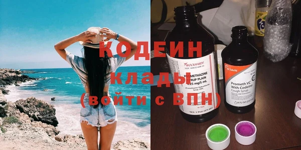 прущие грибы Абаза