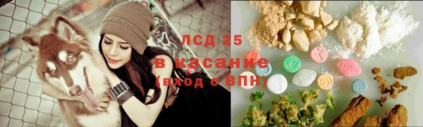 2c-b Алзамай